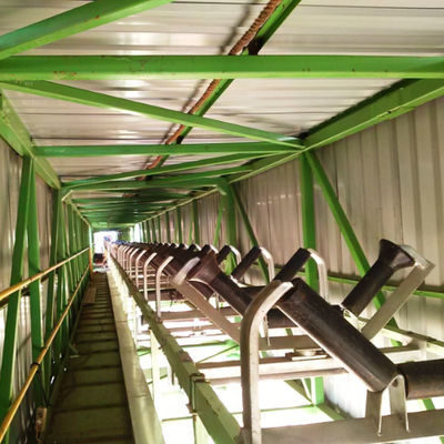 Good price Coal Belt Conveyors for OKI Pulp & Paper Power Plant, Indonesia online